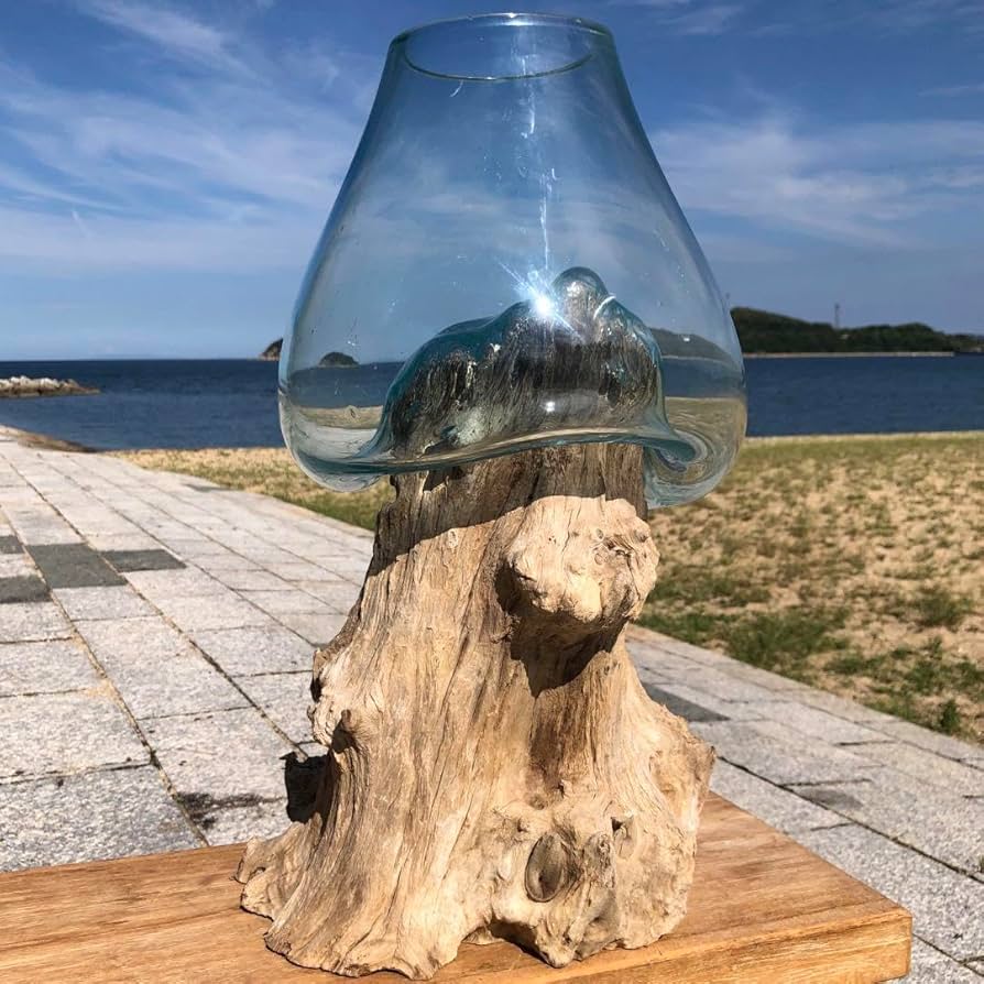 流木ガラス オブジェ特大A 花瓶 金魚鉢 ガーデニング テラリウム 観賞魚 容器 Amazon.co.jp: 流木ガラス オブジェ特大W 花瓶 魚鉢