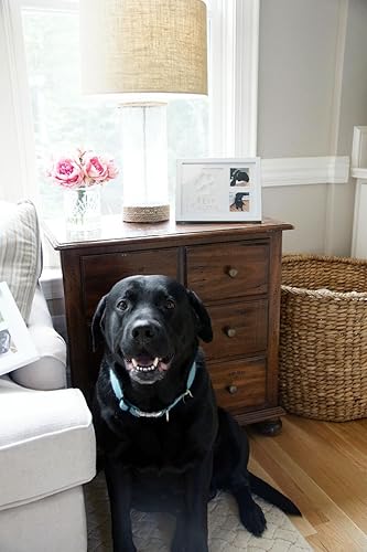 Miniatura 5 de Kit de recuerdo y marco de fotos con estampado de patas de perro o gato, marco de fotos de madera de primera calidad, molde de arcilla para huellas