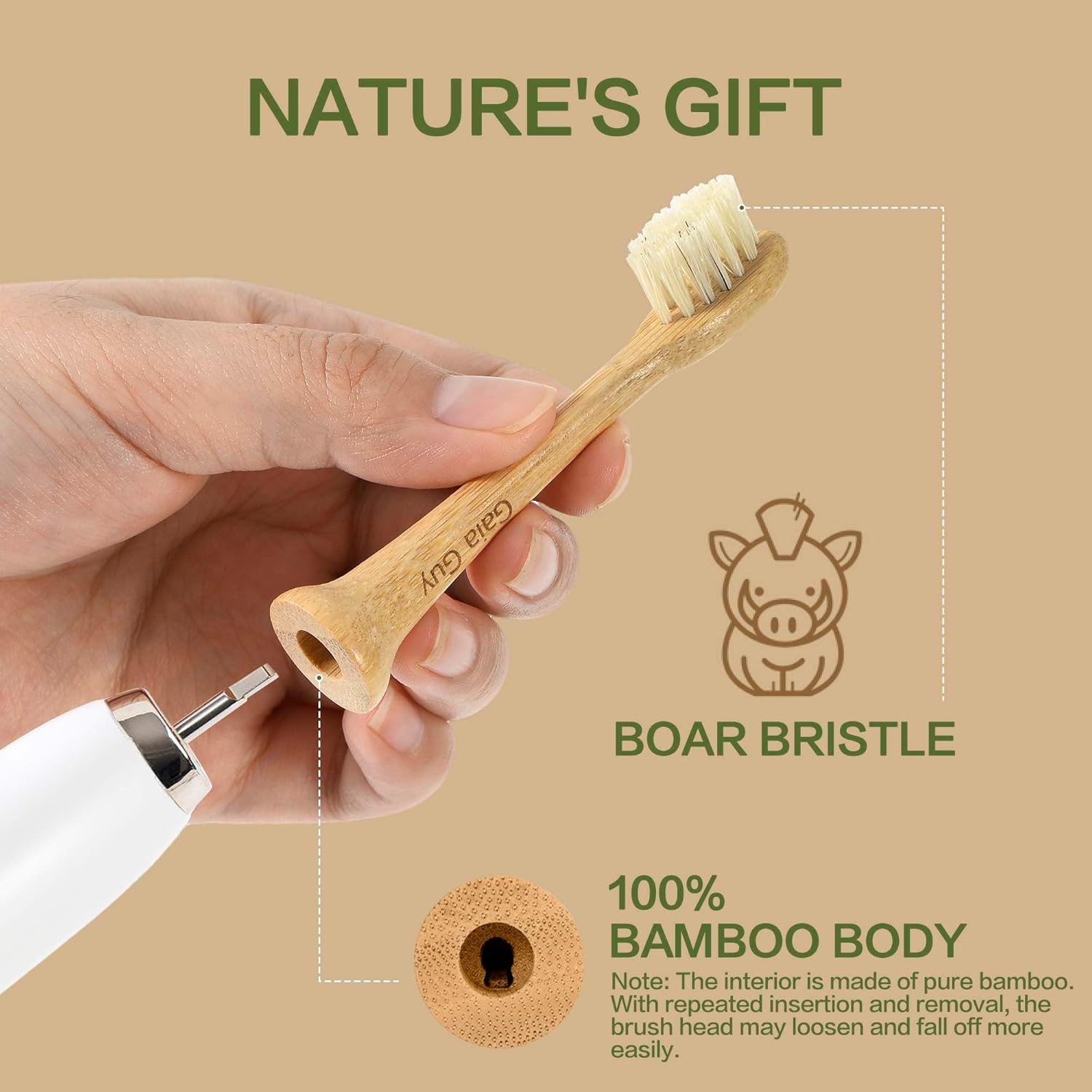 Gaia Guy Natural Bamboo & Boar Bristle Electric Toothbrush Head 4-Pack | Compatible with Philips Sonicare | Truly Biodegradable (No Hidden PLA & No Nylon) for an Eco-Friendly Clean