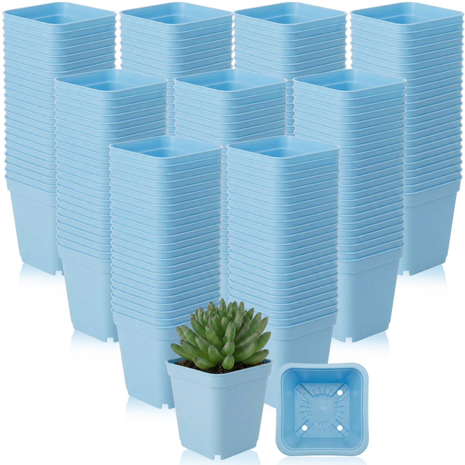 Macetas cuadradas de plástico azul de 3 pulgadas Yaomiao para suculentas con drenaje, 200 uds