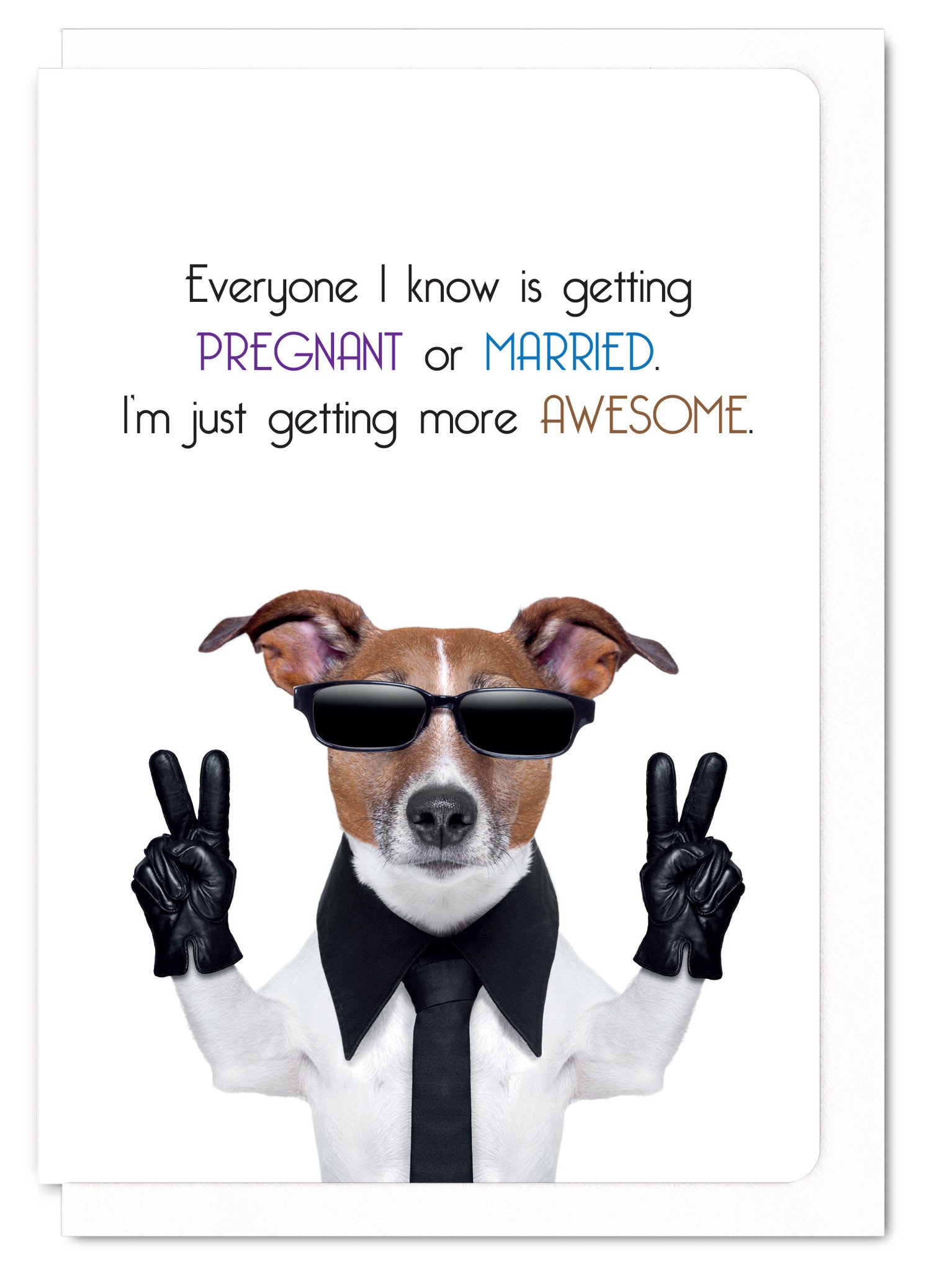 Funny Animal 'Getting More Awesome' Humorous Greetings Card