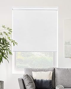 CHICOLOGY Roller Window Shades , Window Blinds , Window Shades for Home , Roller Shades , Window Treatments , Window Blinds Cordless , Door Blinds , Byssus White (Blackout), 28"W X 72"H