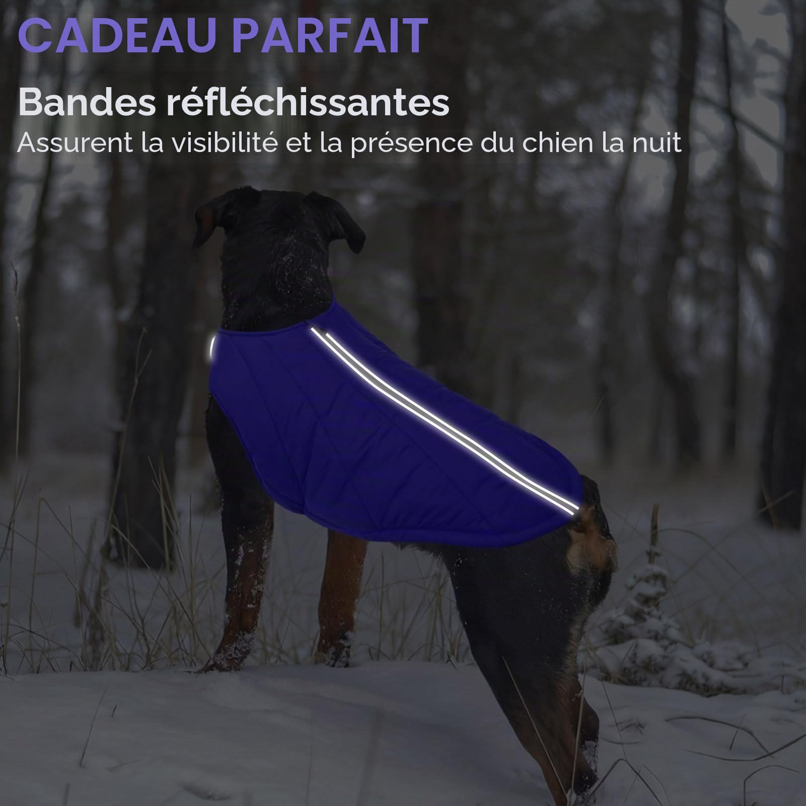 CITÉTOILE Veste Chaude pour Chien – Manteau Hiver Nylon Rembourré, Bandes Réfléchissantes et Fermeture Éclair – Design Classique Imperméable pour Temps Froid Bleu XXL