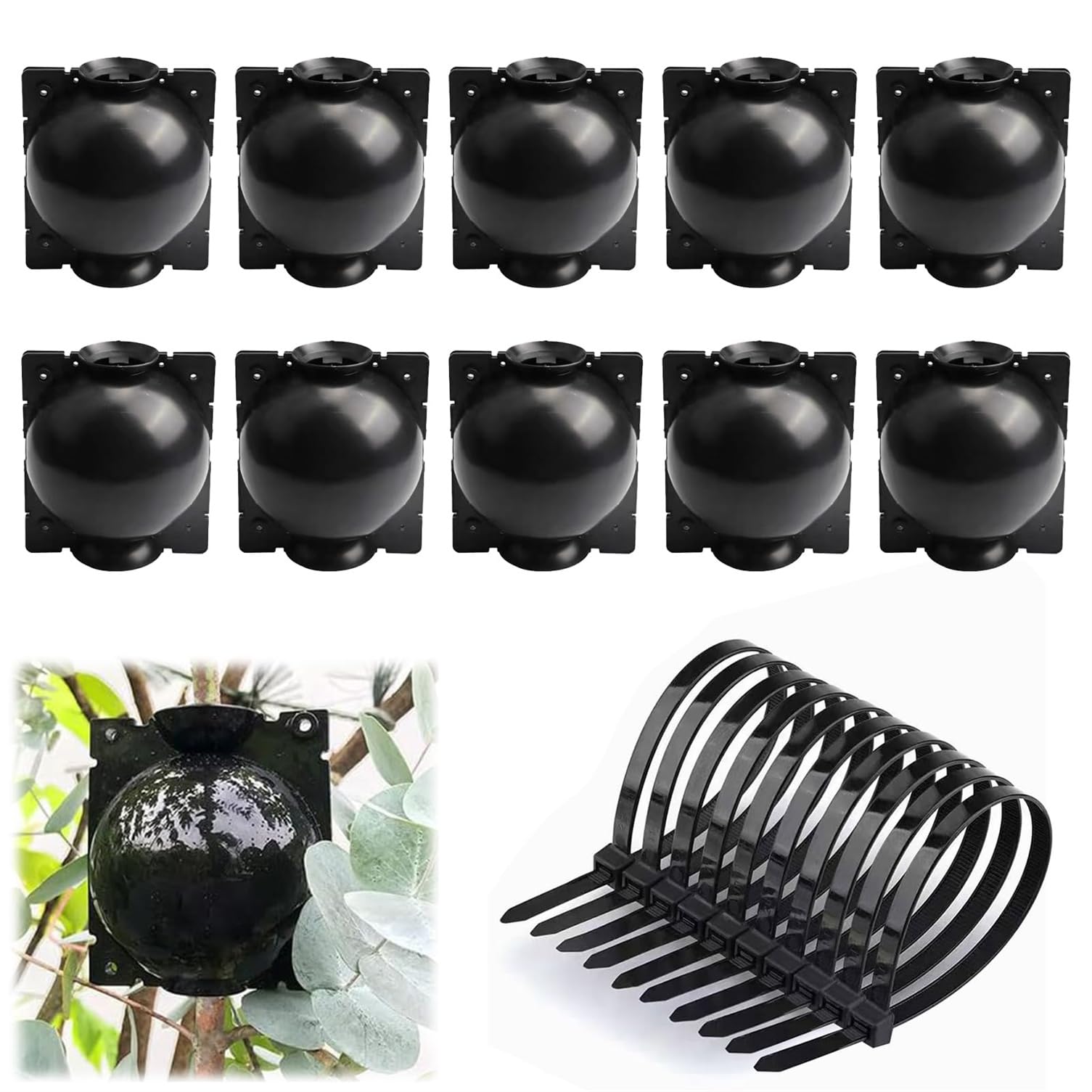 Twinice 10 Pcs Reusable High Pressure Rooting Boxes with Nylon Ties for Plant Propagation and Reproduction