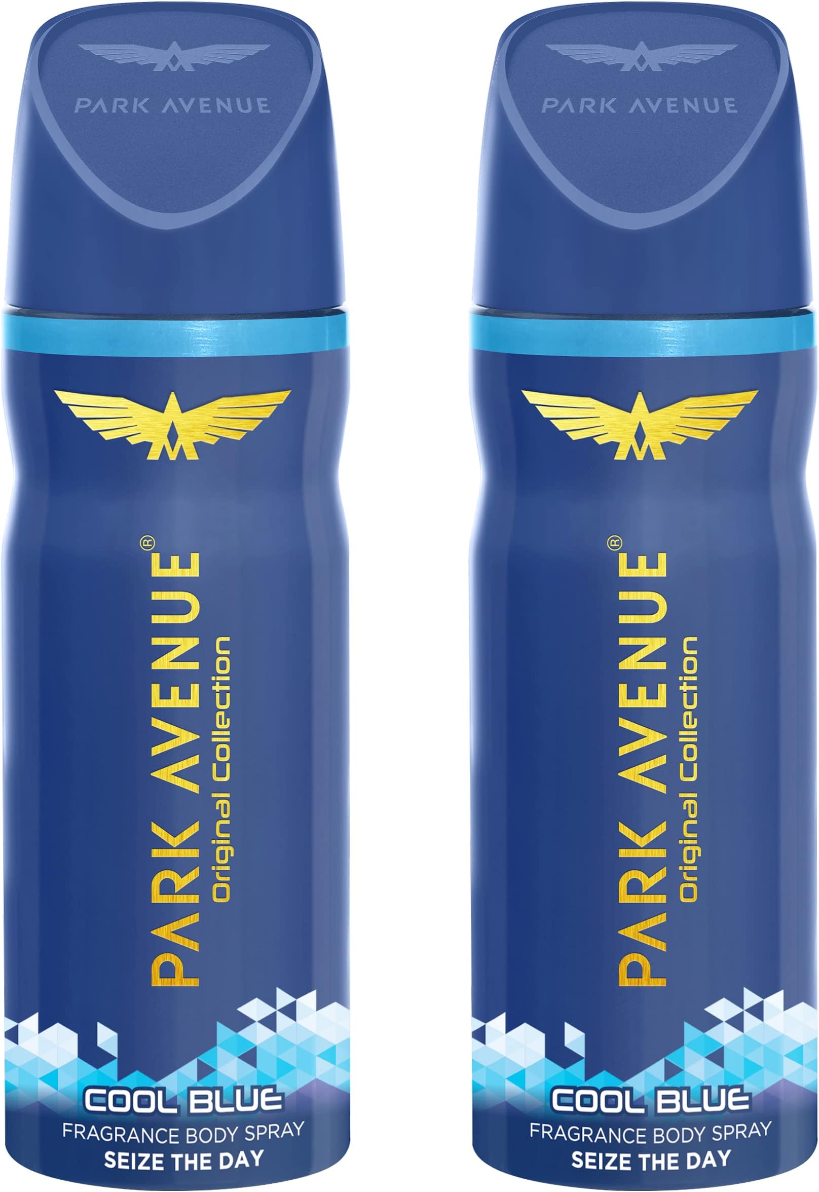 Park Avenue Spray Men's Classic Deo Cool Blue 100Gm*2 (Pack of 2)