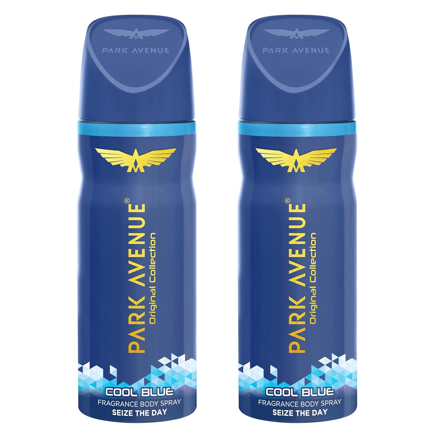 Park Avenue Spray Men's Classic Deo Cool Blue 100Gm*2 (Pack of 2)