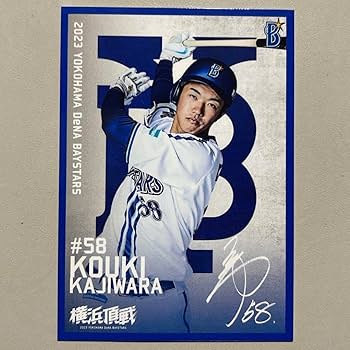 Amazon.co.jp: ファンクラブ会員限定グッズ横浜 DeNA ベイスターズ