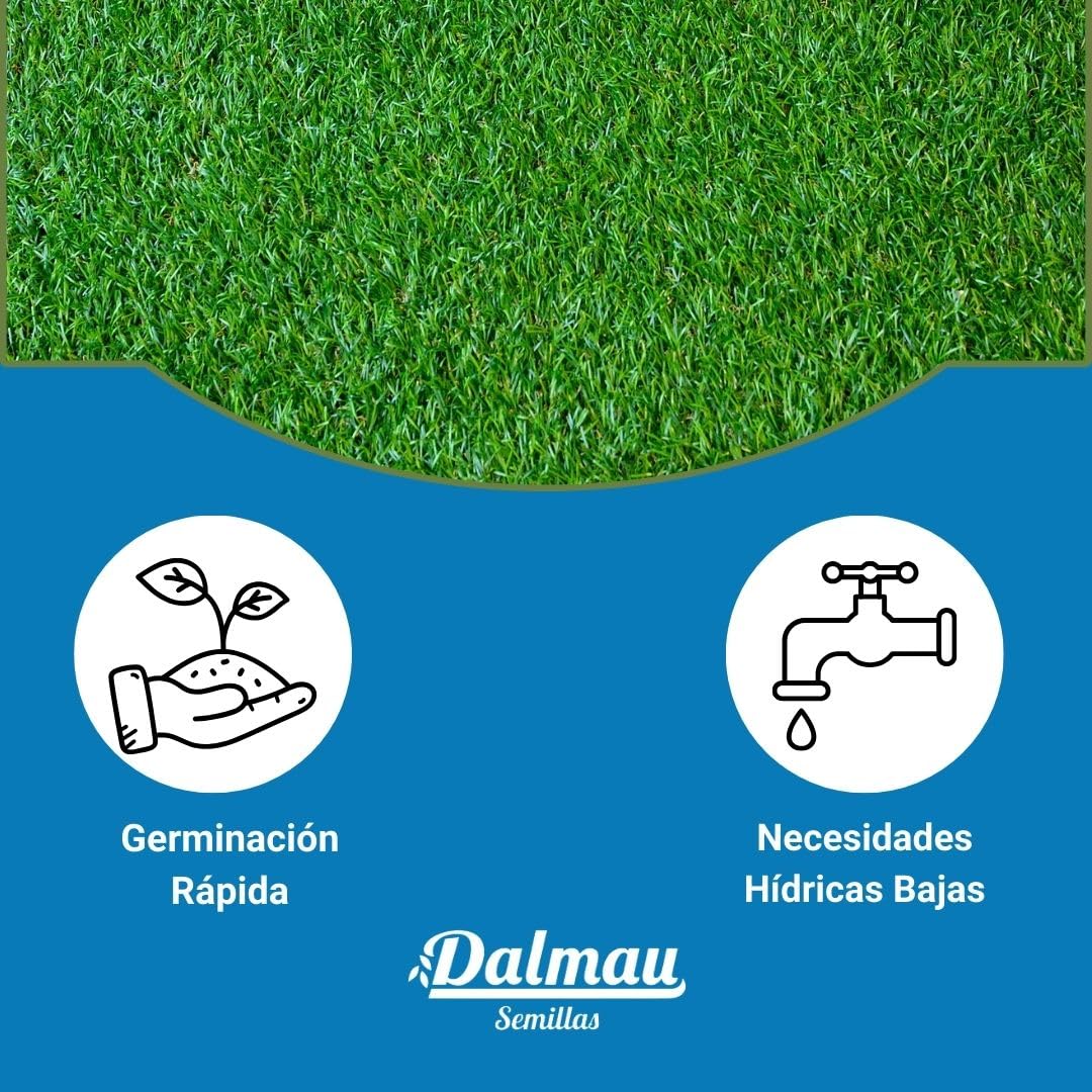 Semillas Pack de Césped Resistente 5kg