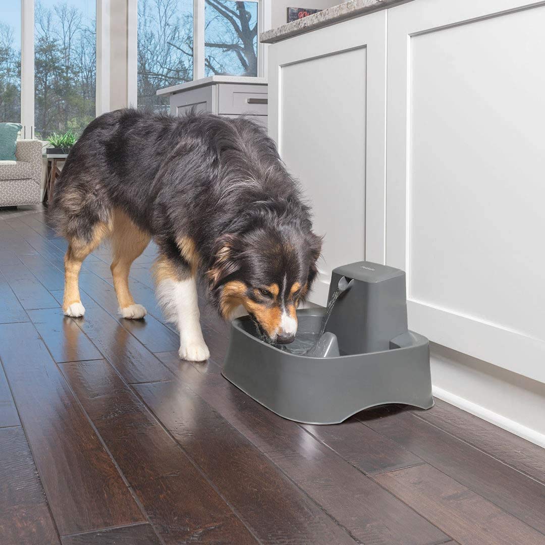 PetSafe Drinkwell 360 Roestvrijstalen Drinkfontein – 3,8 Liter, 5 Waterstralen, Met Koolstoffilter, Voor Katten En Honden