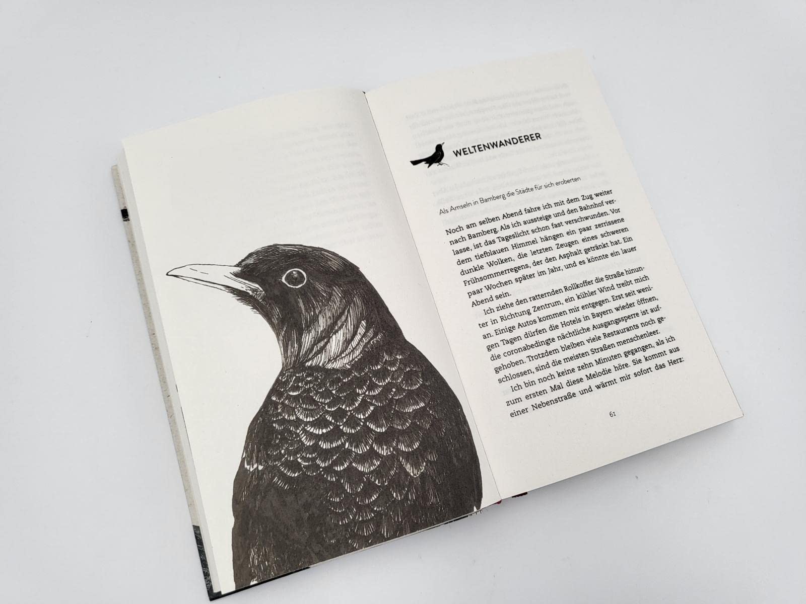 Wanderer zwischen den Welten: Was Vögel in Städten erzählen | Ein besonderes Vogelbuch in hochwertiger Ausstattung