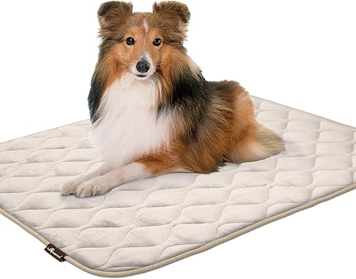 Paw Inspired Alfombrillas acolchadas lavables para perros, almohadilla de 41 x 28 pulgadas, se adapta a perreras de 42 pulgadas, a prueba de fugas,