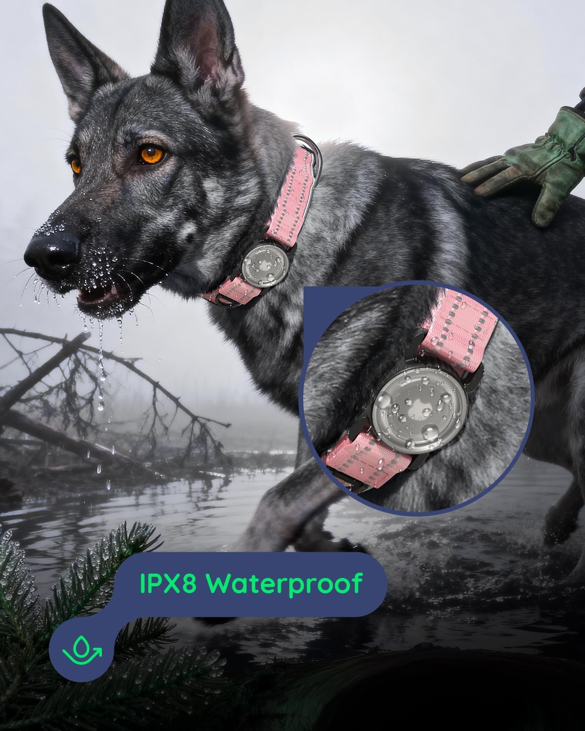 upgrade airtag dog collar,with ipx8 waterproof airtag holder | reflective ultra-durable | soft padded | lock buckle | heavy duty | fit small medium large dogs?pink1?s(12"?15")?
