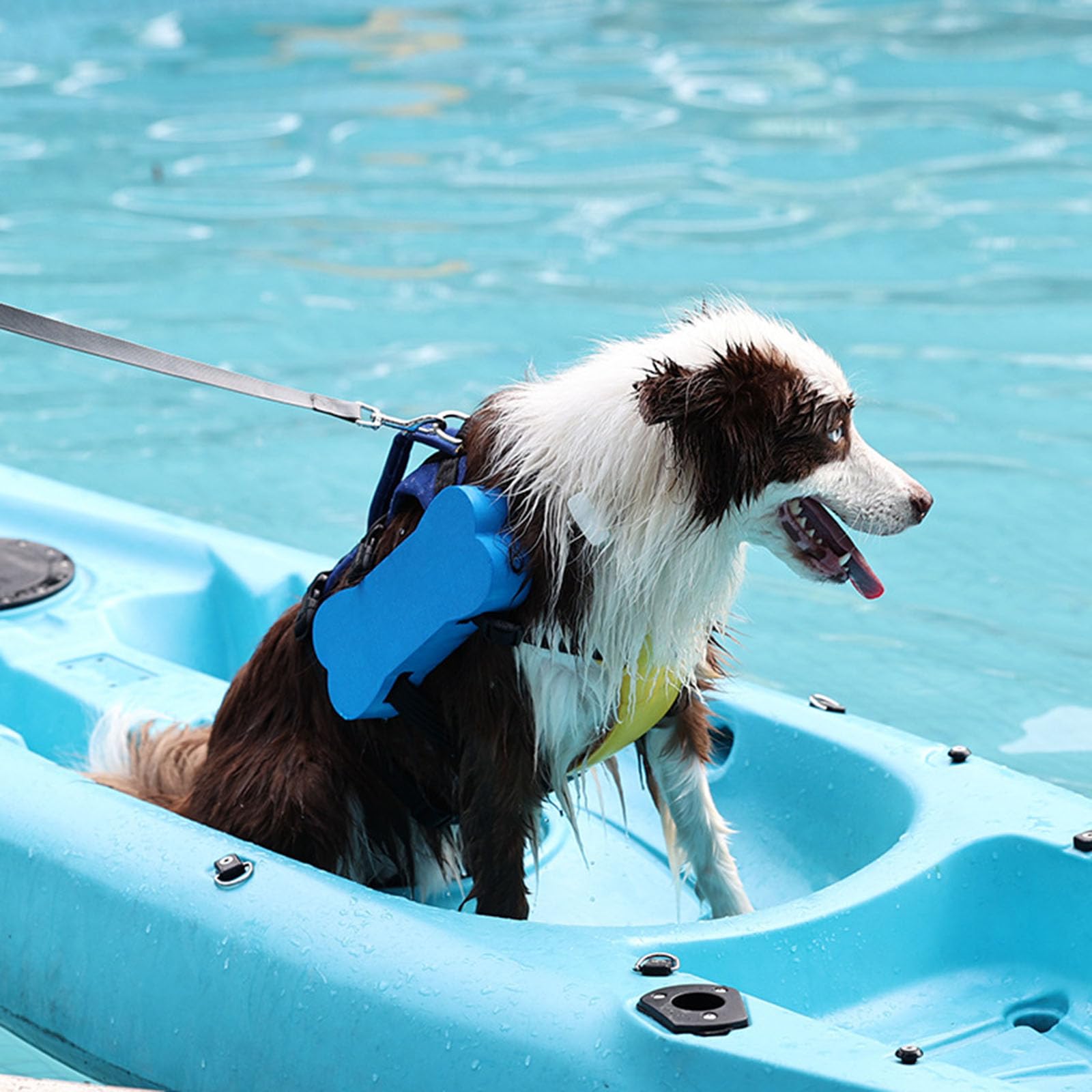 Gilet de sauvetage pour chien - Ceinture réglable - Dispositif de flottaison pour la natation et le bateau - Grand appareil flottant - Équipement d'eau