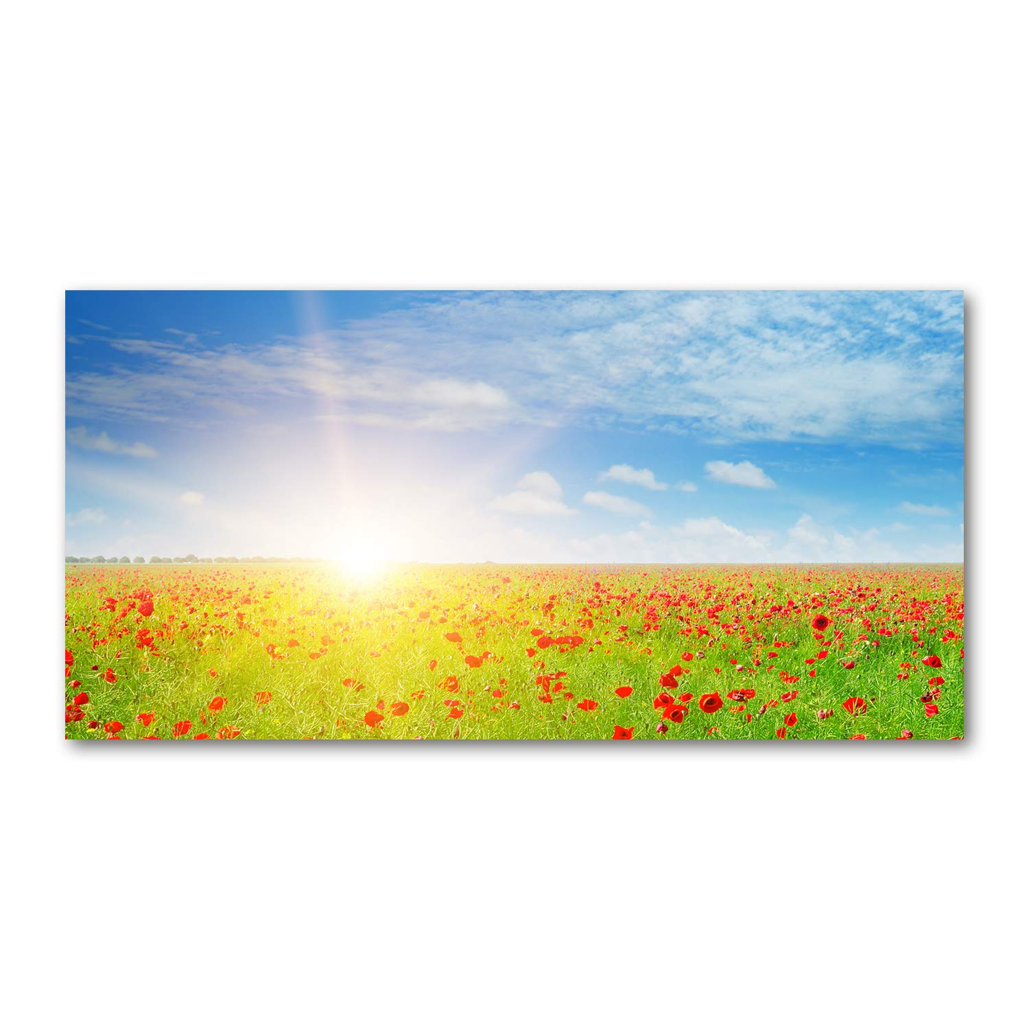 Tableau sur verre 120x60 champ de coquelicots pour illuminer votre cuisine