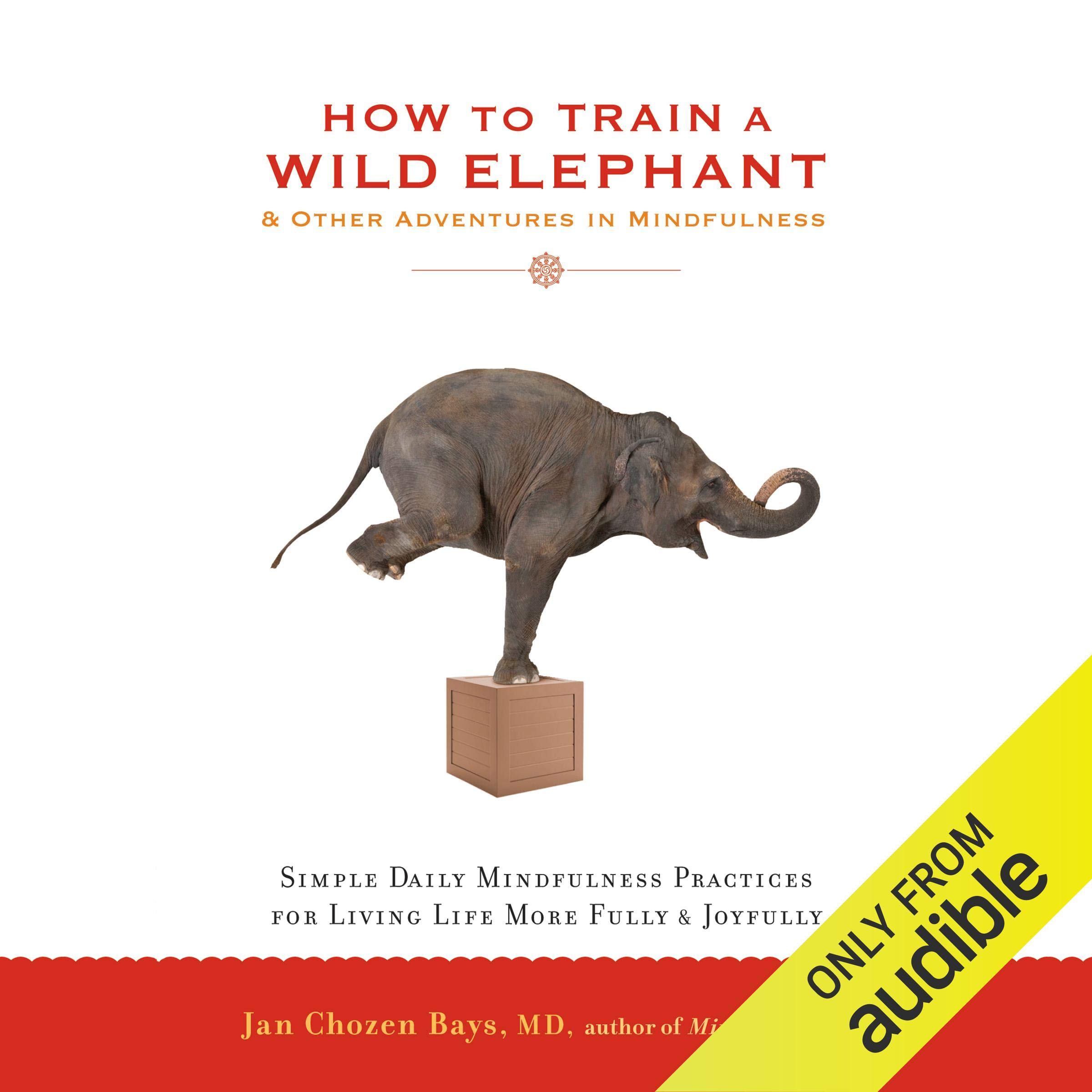 How to Train a Wild Elephant & Other Adventures in Mindfulness: Simple Daily Mindfulness Practices for Living Life More Fully & Joyfully