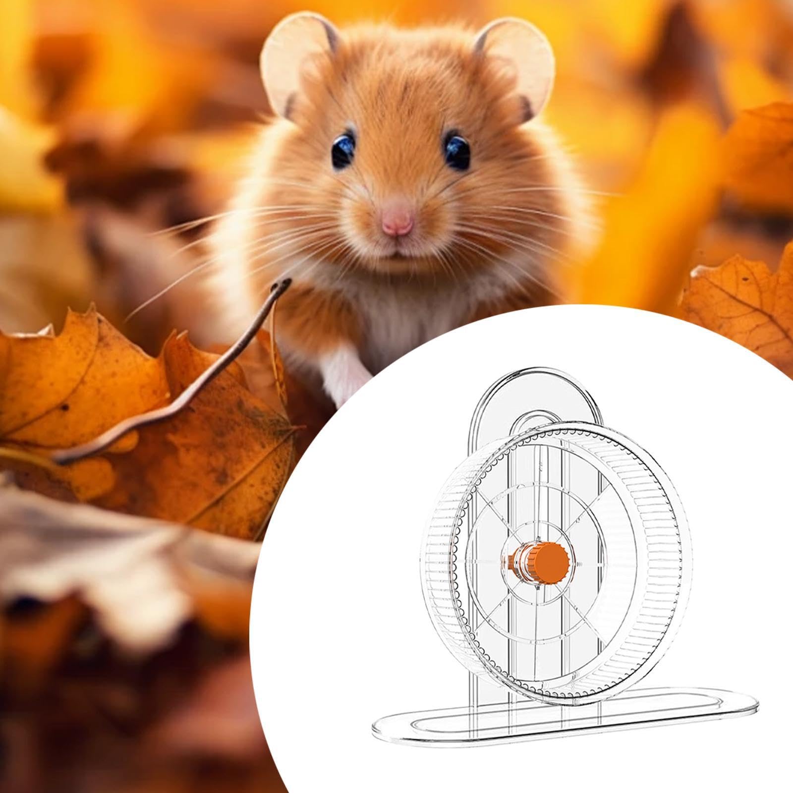 Roue d'exercice pour Hamster, Accessoire de Cage, Jouet de Jogging pour Souris, écureuils et Gerbilles, Diamètre de La Roue