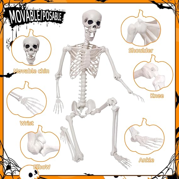 Lodou 5.9Ft/180cm Life Size Giant Skeleton Poseable Plastic Skeleton for Halloween Decor