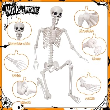 Lodou 5.9Ft/180cm Life Size Giant Skeleton Poseable Plastic Skeleton for Halloween Decor