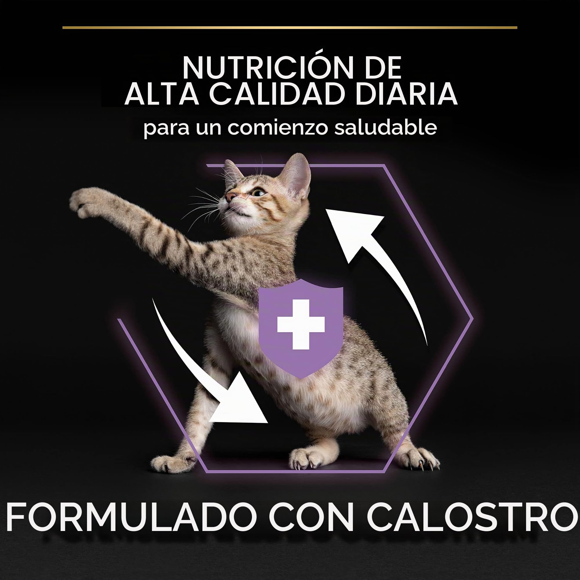 PURINA Pro Plan | Kitten Healthy Start | Rico en Pollo | Croquetas | Gatito | Bolsa de 10 kg