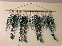 Review Image by R. R.