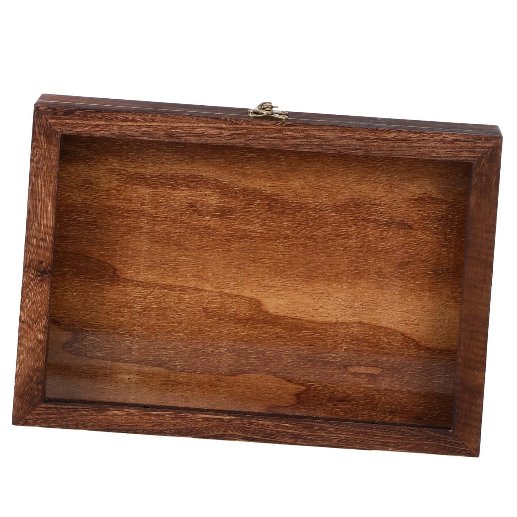 Vitrine en verre et bois pour spécimens et objets de collection