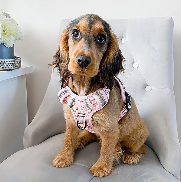 HEELE Dog Harness, Anti-Pull Reflective Dog Harness with Padded Handle for Medium Large Dogs, 1 Buckle on the Right Neck Strap Makes it Easy to Put on and Take Off, Floral-Pink, M - 4