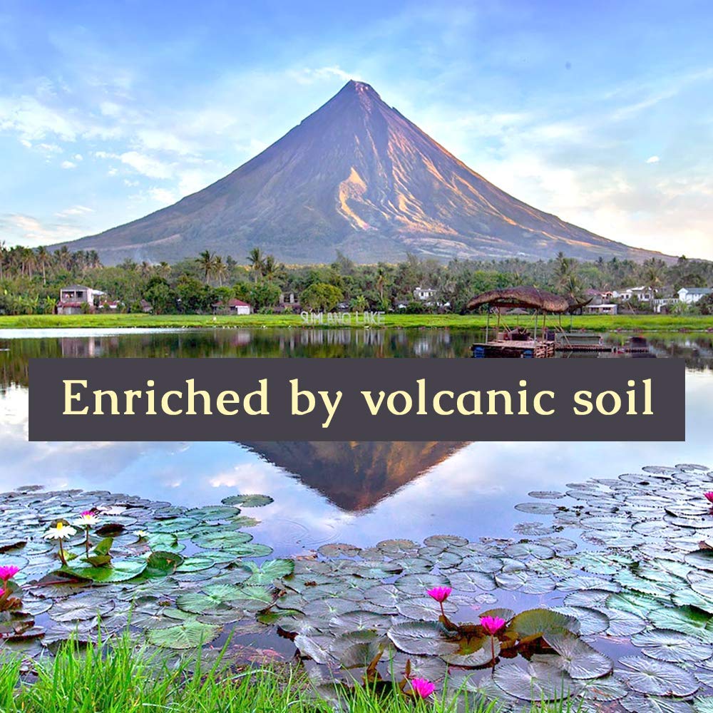 ORGANIC Pili Oil For Skin, Hair, Face, Nails, Beard & Cuticles -100% Volcanic Enriched Anti Aging, Anti Wrinkle, Cold Pressed Moisturizer, 30 ml