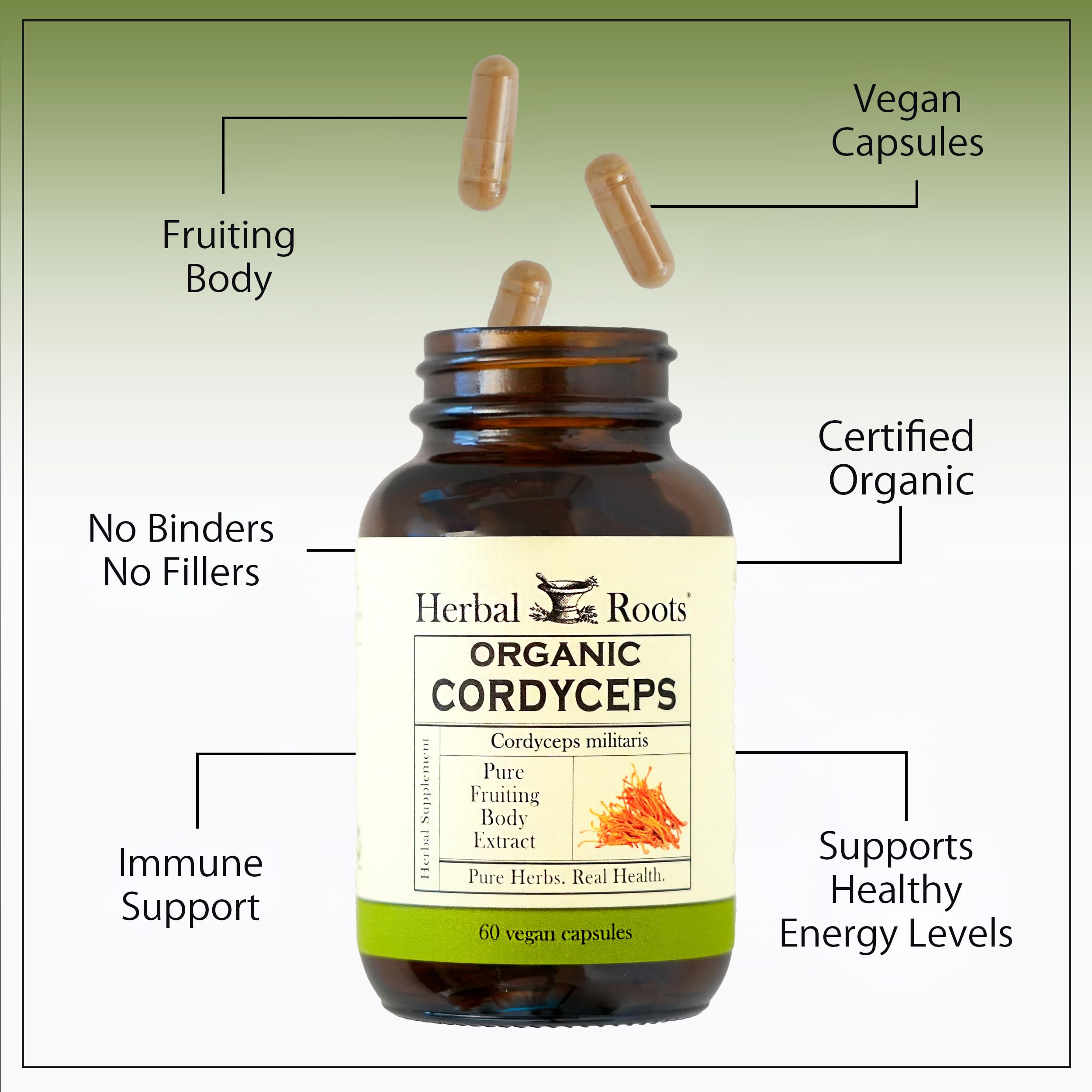 Herbal Roots Organic Cordyceps - Fruiting Body Extract Mushroom Capsules - Immune & Energy Support - 60 Vegan Capsules — Amazon image 6