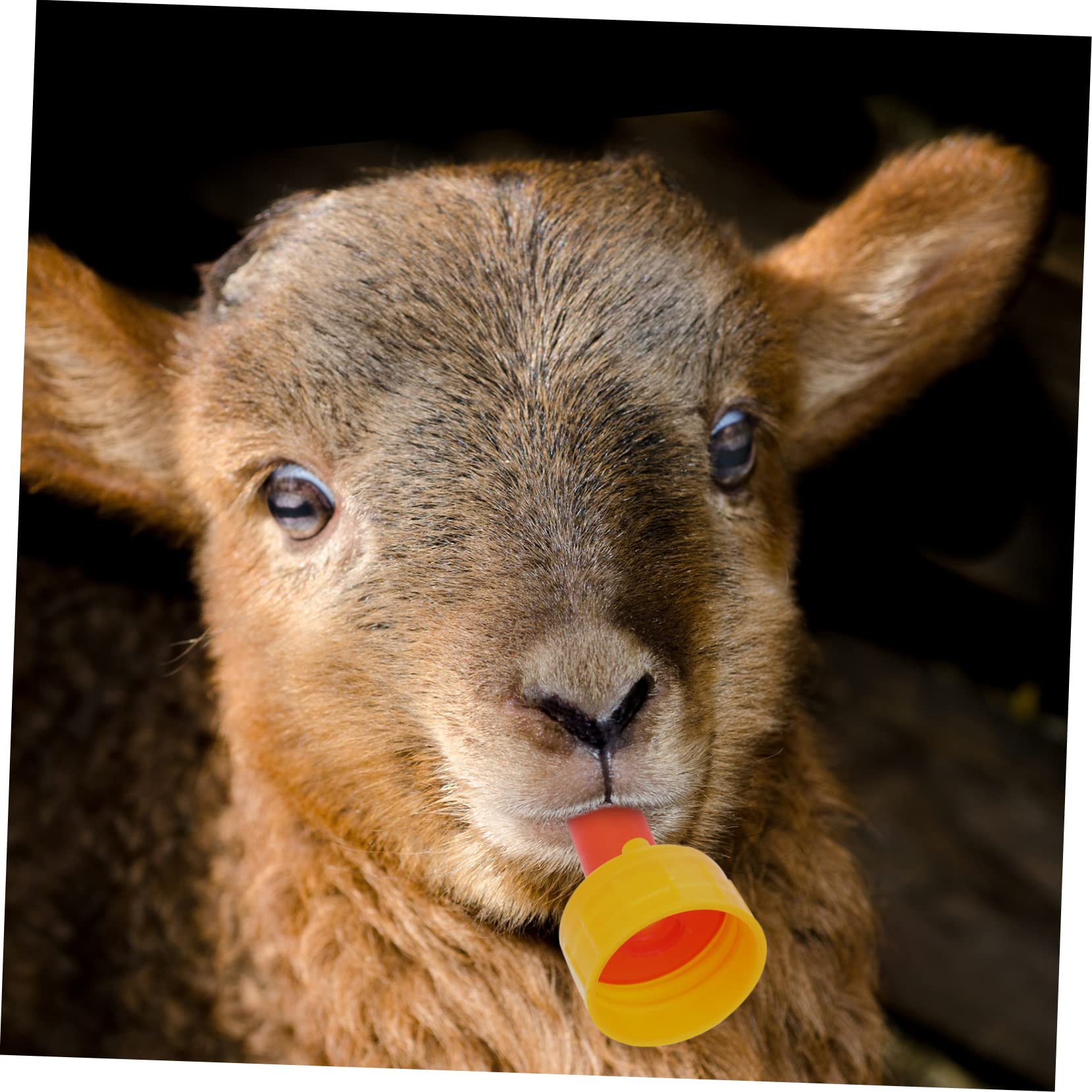 BEBEMOKO 10pcs Goat Pacifier Honey Bear Straw Cup Sheep Chicken Breast Milk Bags for Water Bottle Milk Storage Bag Soft Feeding Teat for Animals Miracle Food Bowl Rabbit Plastic Red