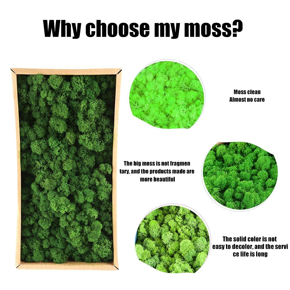 Groene mosballen n de vorm van een derenpoot en staart
