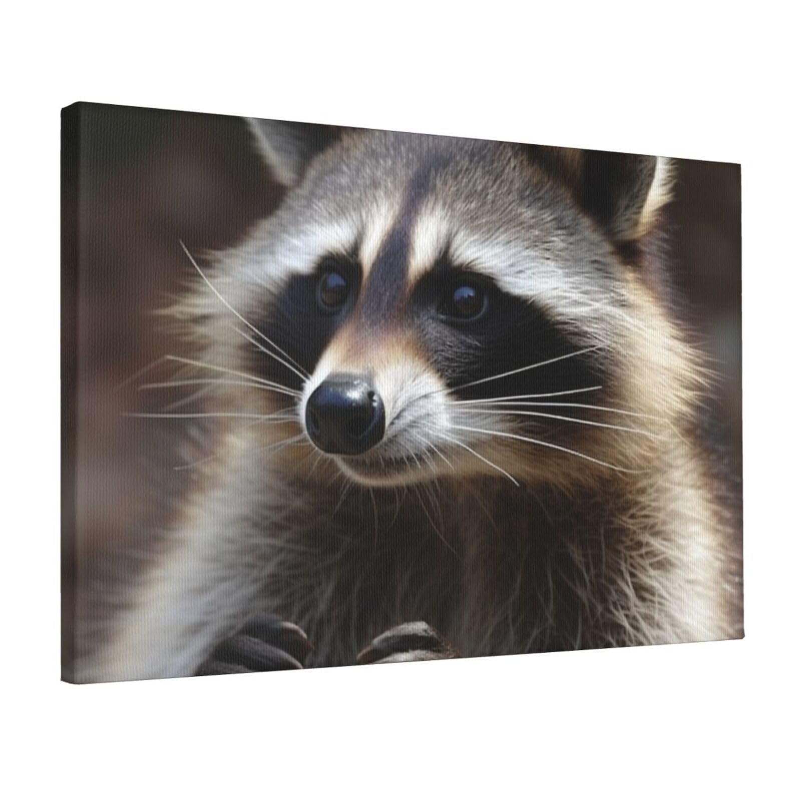 KLOPH raccoon Canvas Wall Art for Living Room 12"x18" Modern Artwork Painting for Bathroom Hanging Canvas Prints Aesthetic Wallart for Bedroom Kitchen Office Wall Decor