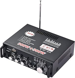 12V / 110V Mini o Power Amplifier 2CH 300W+300W for Car Home Use BT Digital o Receiver AMP USB Memory Card Slot Digital MP3 Player FM Radio LCD Display Dual Mic Input with Remote Control