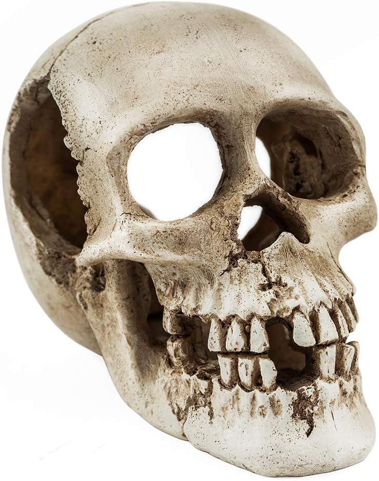 Niteangel Primate Skull Habitat Decor Hideout Place for Fish Aquarium