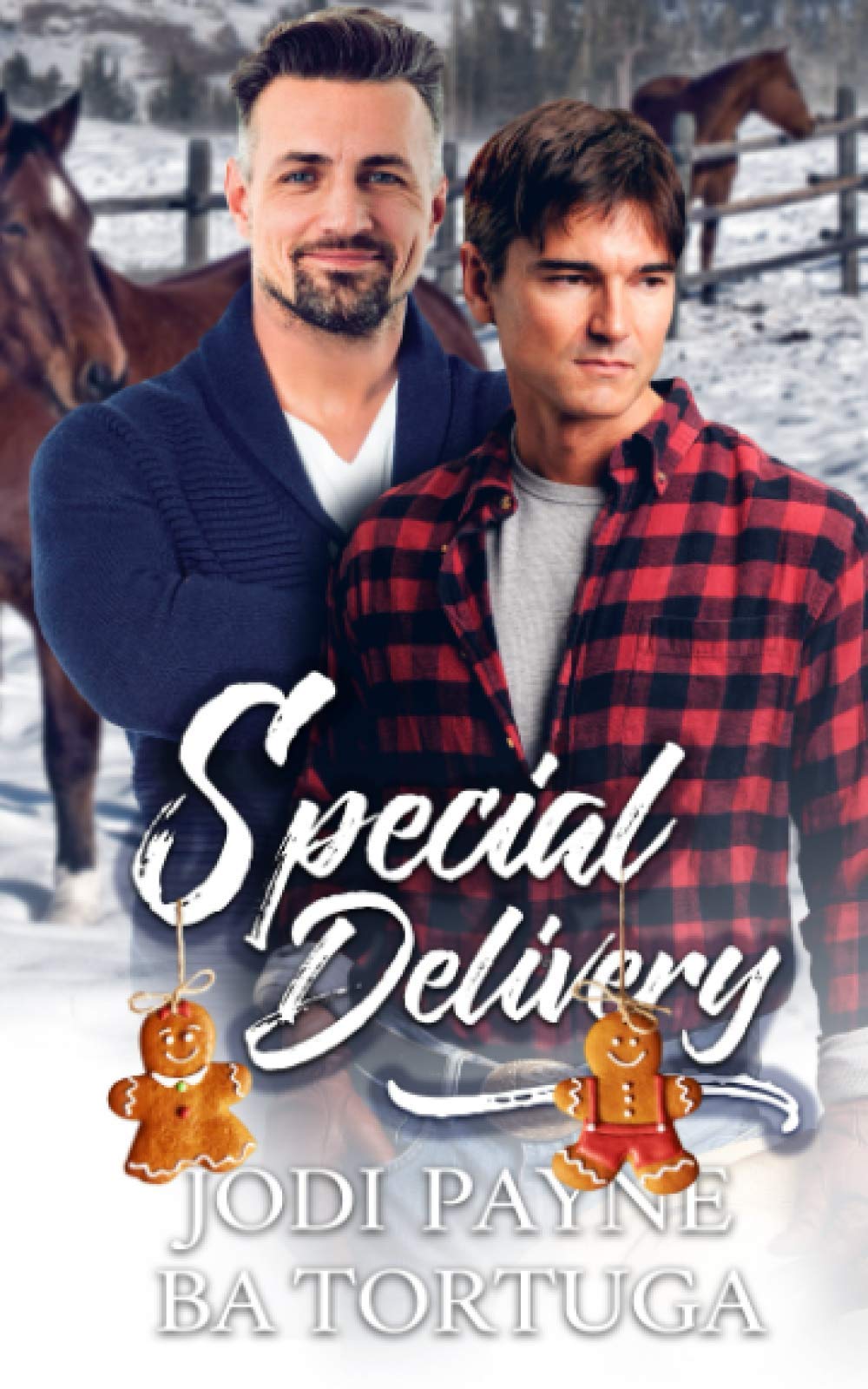 Special Delivery: A Wrecked Holiday Novel (Wrecked Universe)