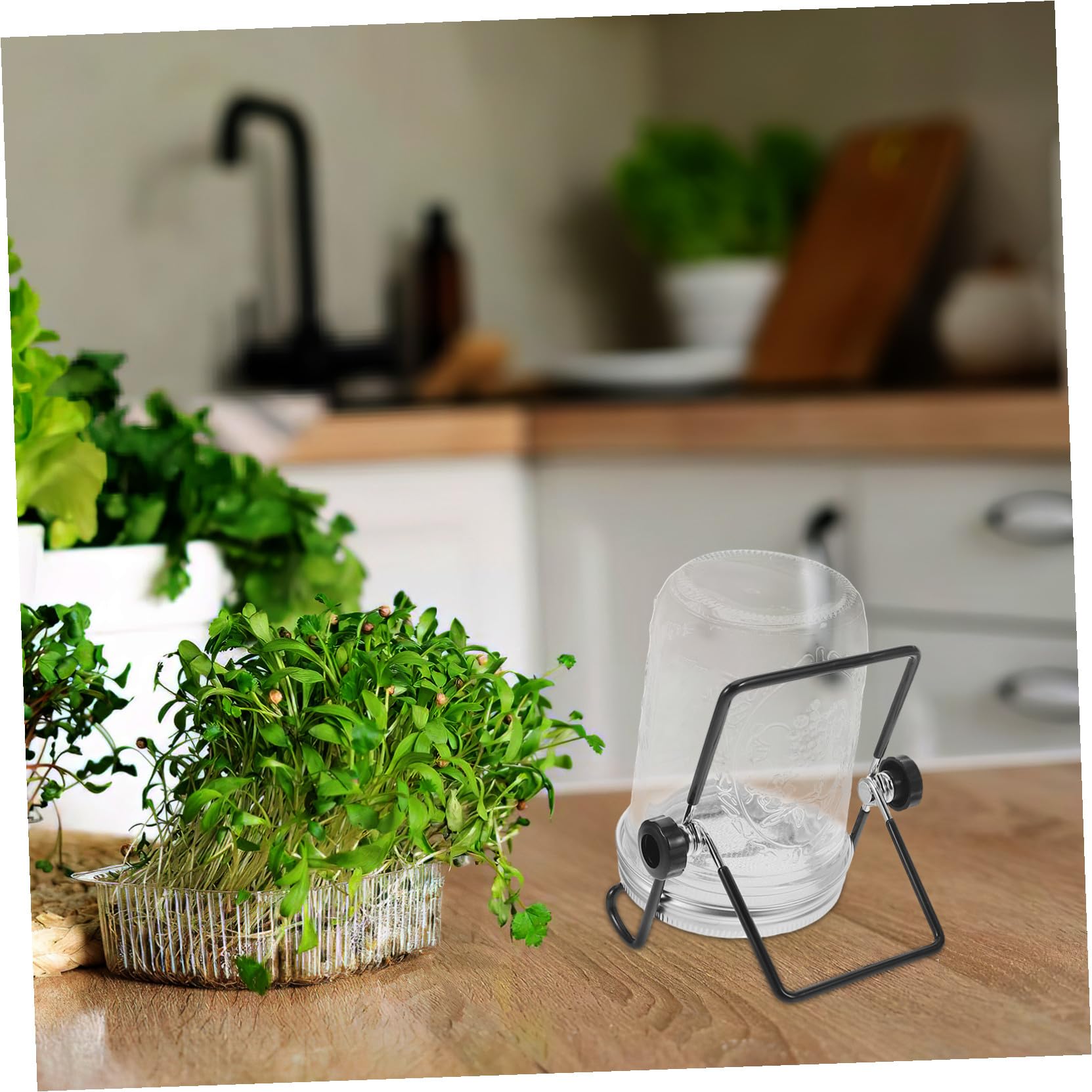 BESTonZON 2ensembles Kit De Germination avec Couvercles Passoire Et Support pour Micro-pousses Bocal De Germination