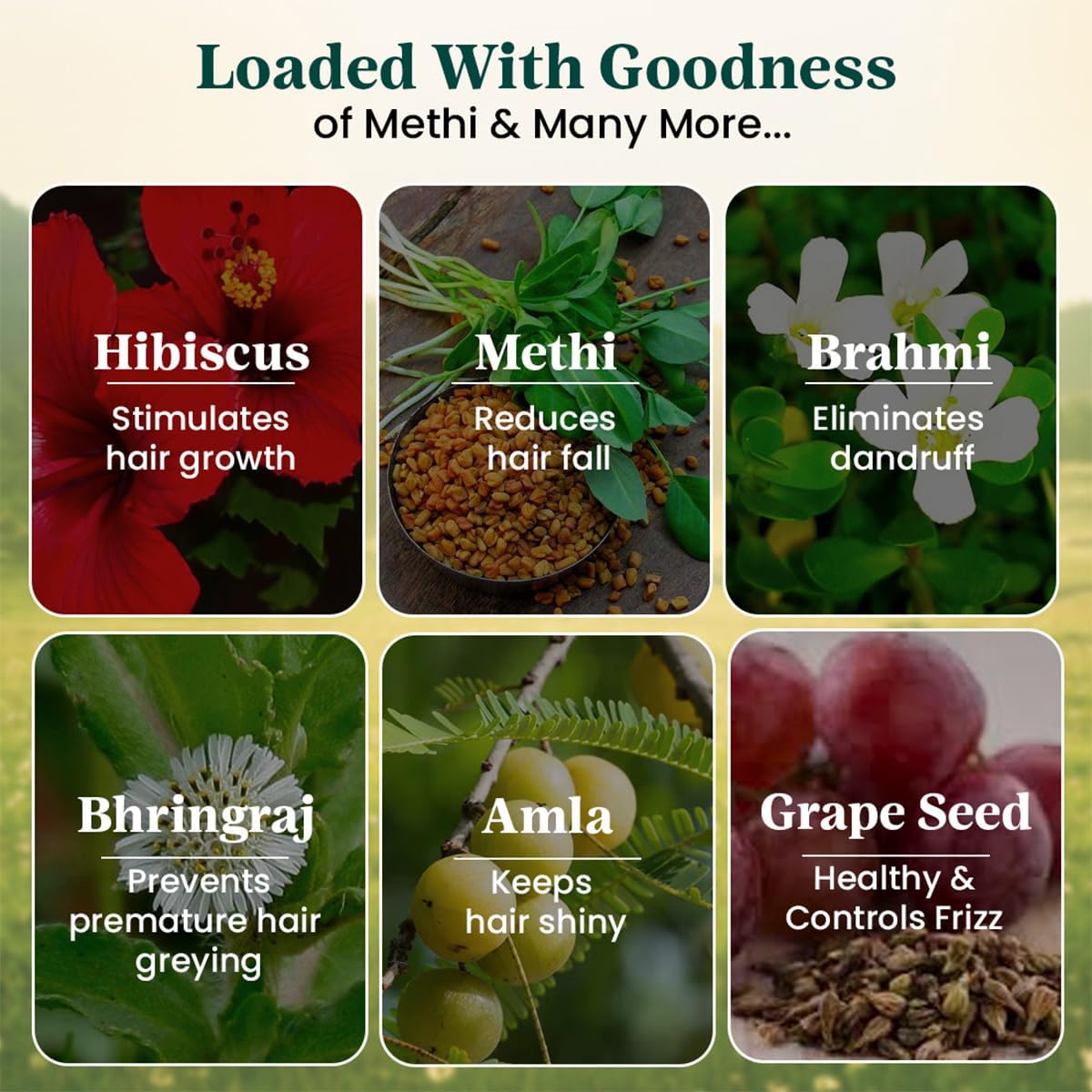 Generic DD Methi Series (Oil)