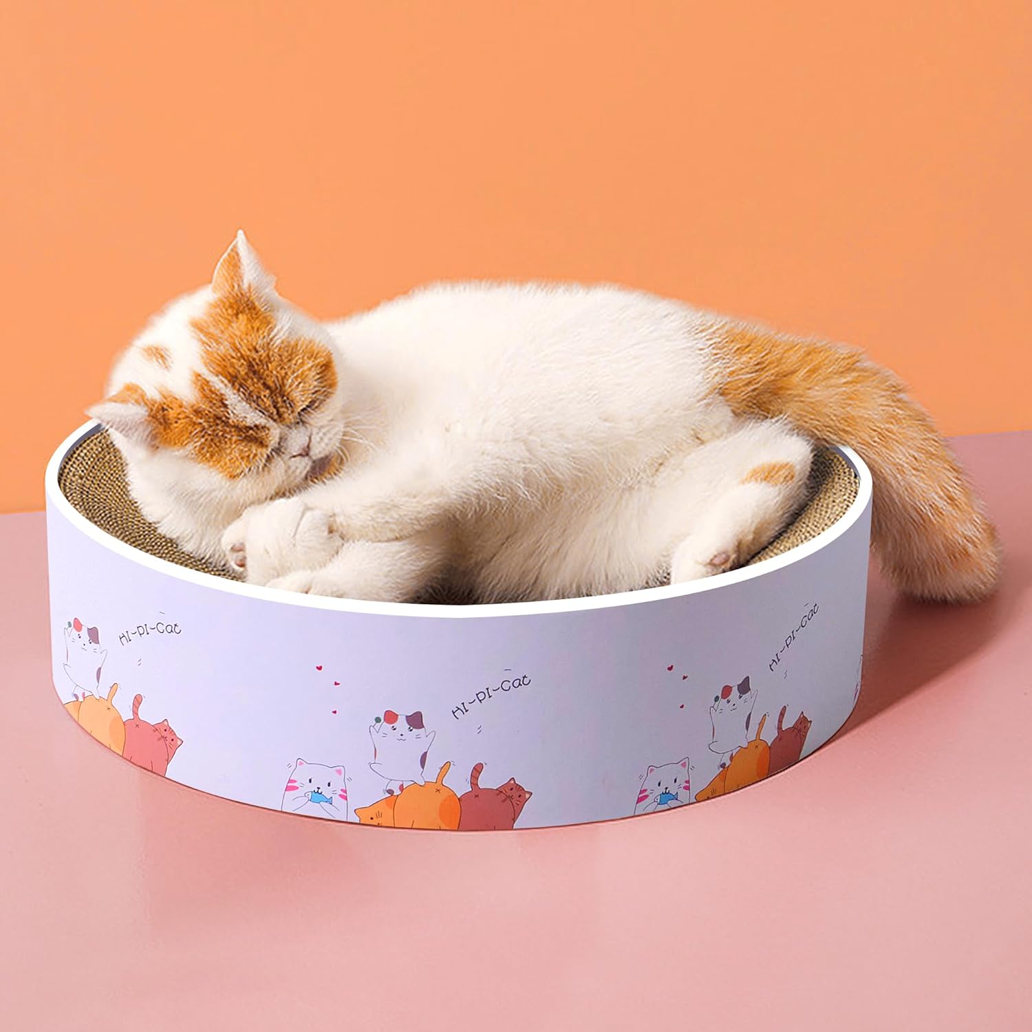 Katzen Kratzschüssel Rund - Karton Lounge Bett Für Katzen | Platzsparend & Stabil