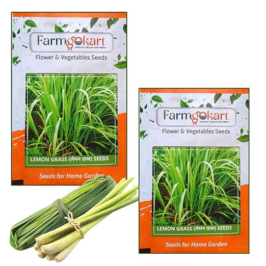 farmgo 2 Packets Of Lemon Grass Seeds Easy To Grow Best Suitable For