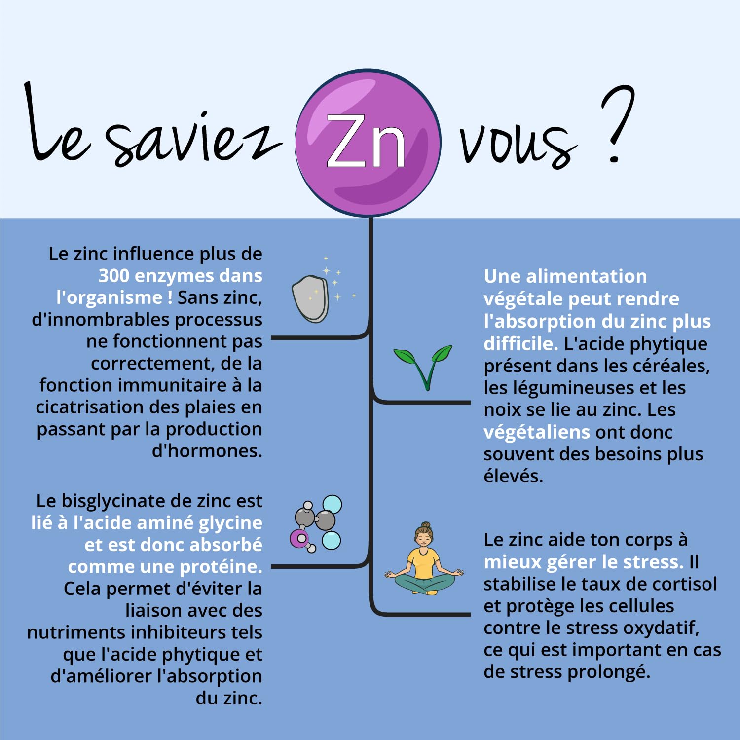 Zinc Bisglycinate | 300 Gélules | 100% Pur – Sans Additifs | Haute Absorption + Vegan | Complément Alimentaire Peau (Acné) + Immunité | Vegavero®