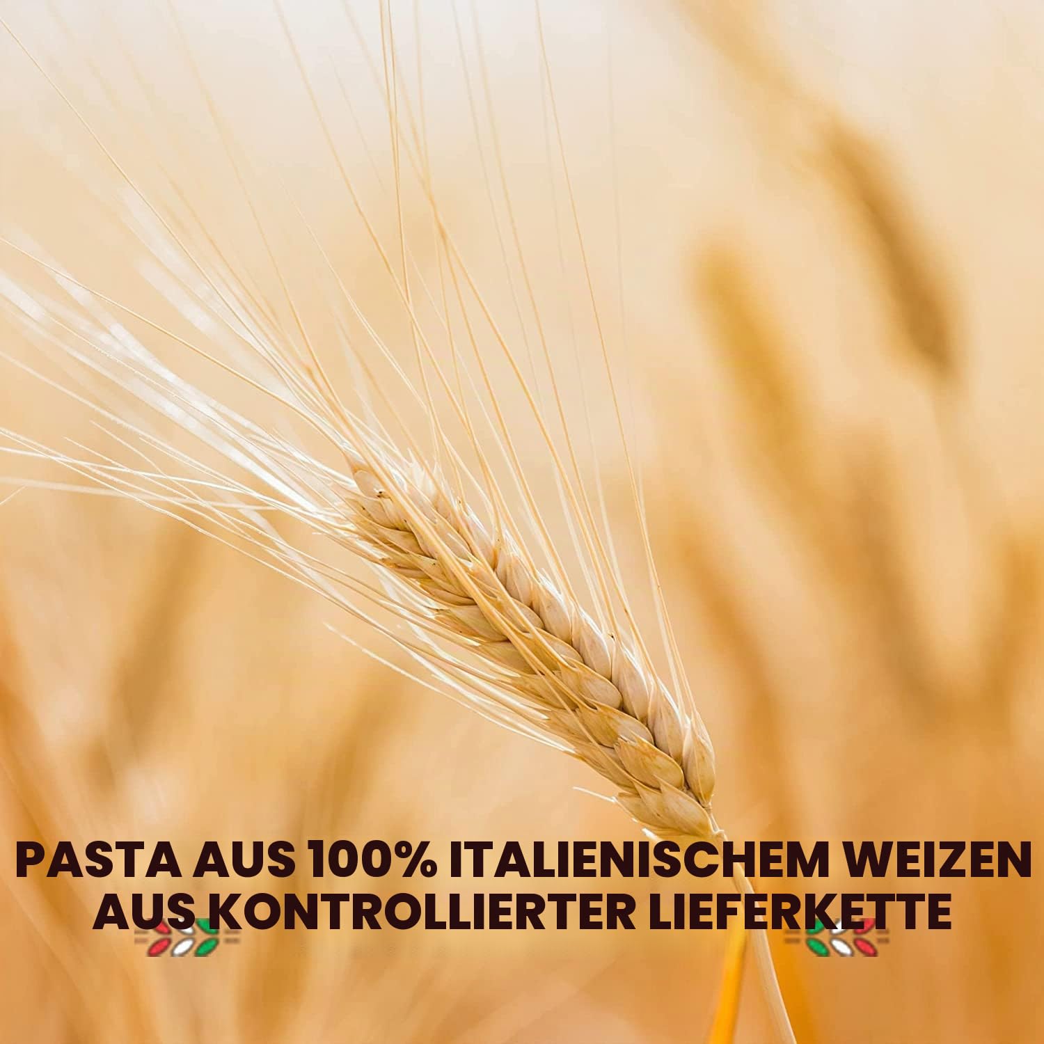 Il Lo Spaghetto pâtes italiennes au bronze 100% blé 20 x 500g