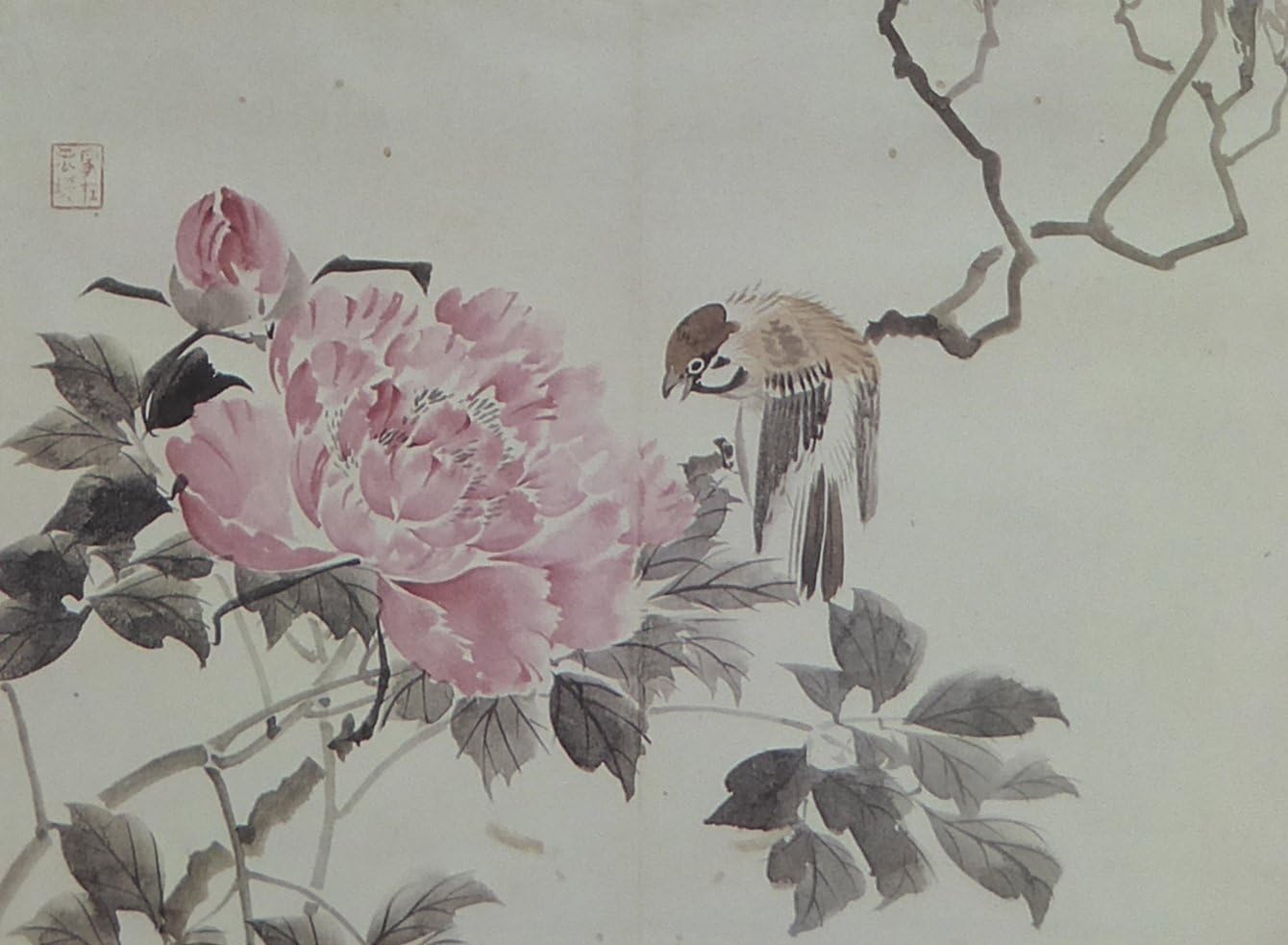 Tree Sparrow and Tree Peony - Koyo Framed and Mounted Picture 16"x 12"