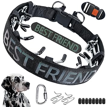 Dog Spike Collar, Reflective Printed Nylon Covered Dog Training Collar with Locking Carabiner and Adjustable Stainless Steel Links, No Pull Chain Collar for Small Medium Large Dogs
