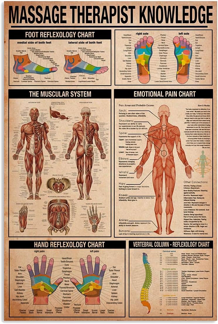 Wood Joint Knowledge Metal Tin Signs Carpenter's Guide Reading Poster Wood Craft Infographic Plaques Studio Home Room Farmhouse Wall Decor 16x24 Inches