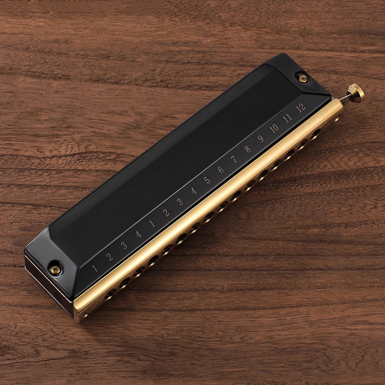 Blues Harmonica In C - Armónica diatónica de 12 agujeros, 48 tonos, órgano bucal en C, para adultos principiantes