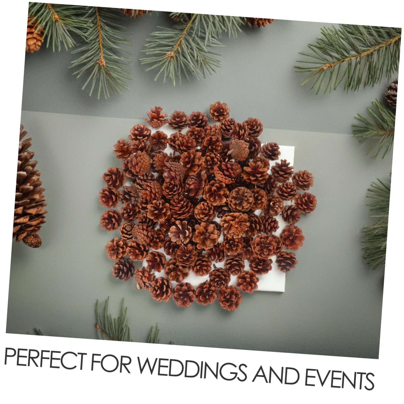 Garneck 130stücke Mini-kiefernzapfen aus Naturholz Mini-kiefernzapfen-Ornamente für Winter und Weihnachtsbasteleien Natürliche Tannenzapfen als Vasenfüller für DIY-Dekorationen
