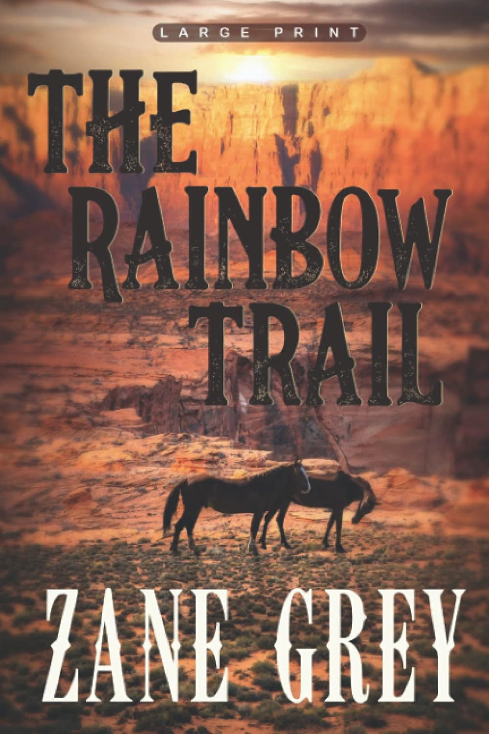 The Rainbow Trail (Large Print edition)
