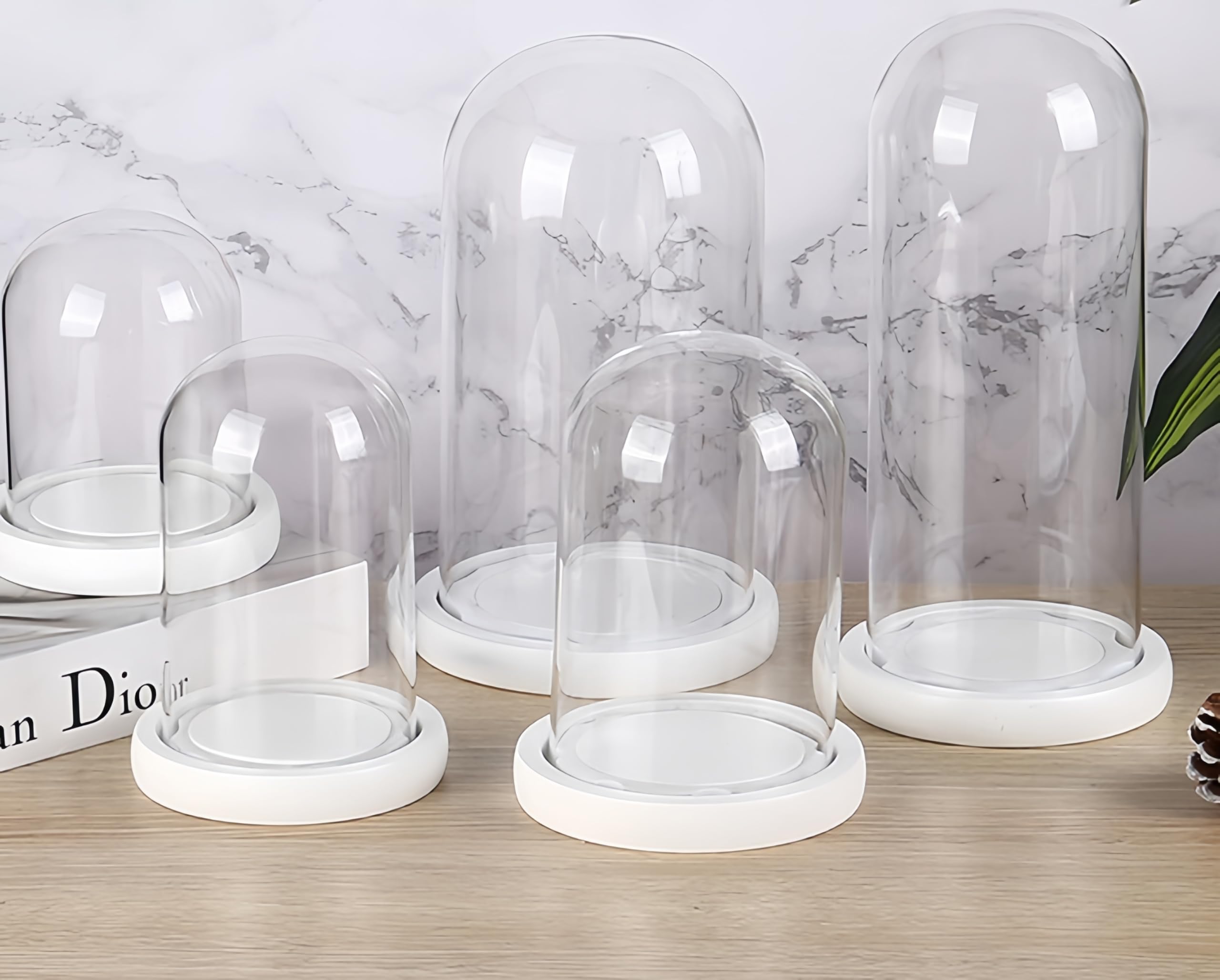 Campana Di Vetro Con Base In Legno – Cloche Decorativa In Vetro Borosilicato, Altezza 18,5 Cm