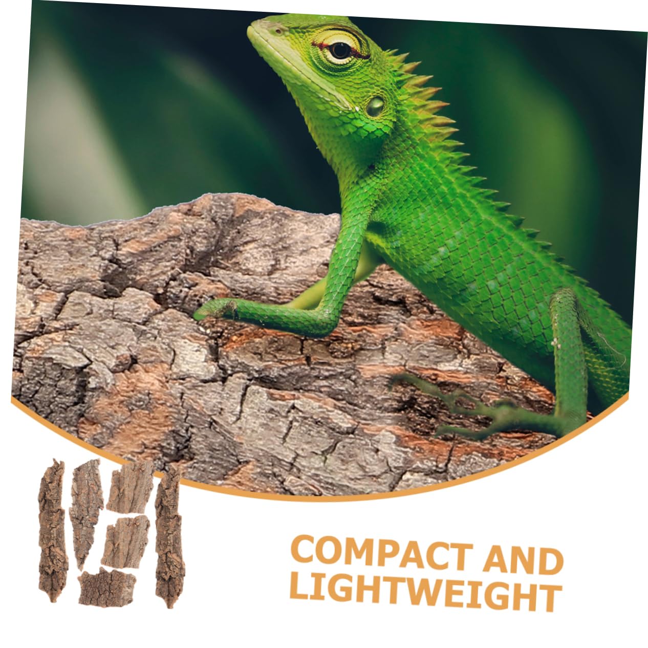 HANABASS 24piezas Decoración De Terrario para Reptiles De Corteza De Árbol Natural Plataforma De Sol para Reptiles Accesorio De Escalada para Acuarios y Terrarios Mediano