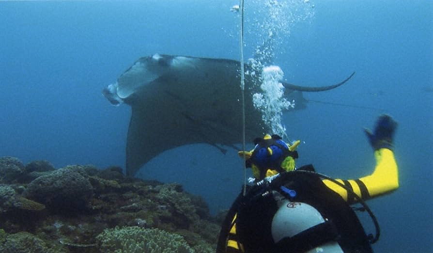 TBS どうぶつ超貴重映像コンプリート版 さかなクンと2度と見る