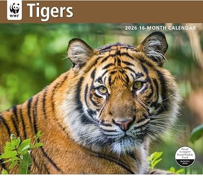 Carousel Calendars, Tigers WWF 2026 Wall Calendar